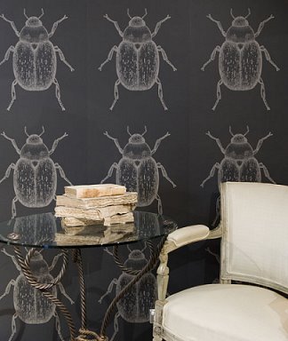 beetle-wall-paper