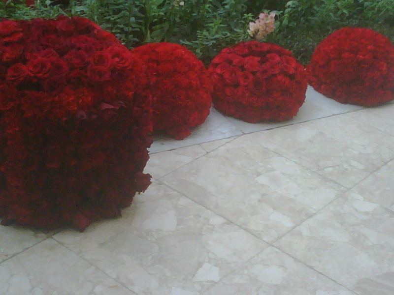 res puffs of roses and carnations