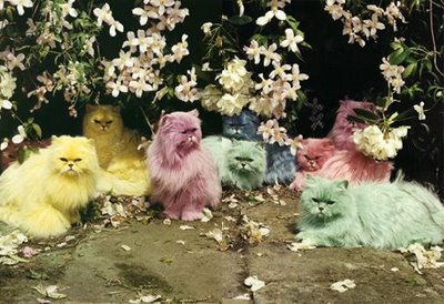 pastel cats