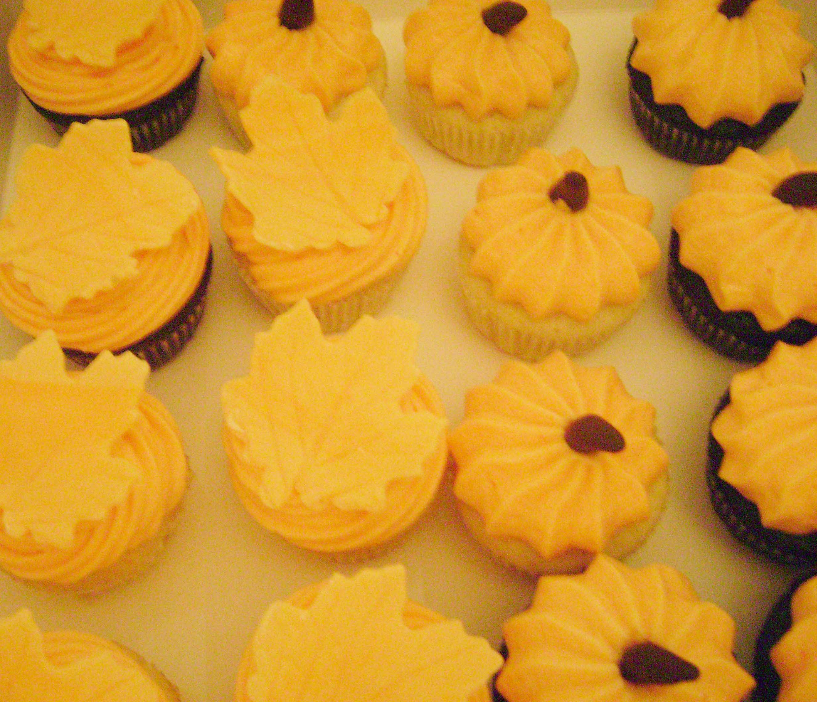 fall cupcakes 2